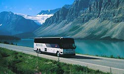 Domestic-Long Over 7 days